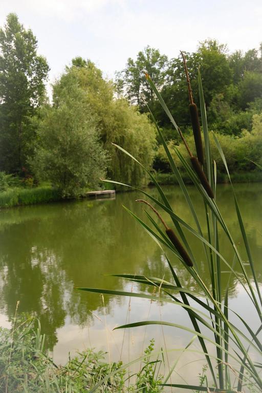 Les Temps Des Sources Veyrines-de-Domme Exterior foto